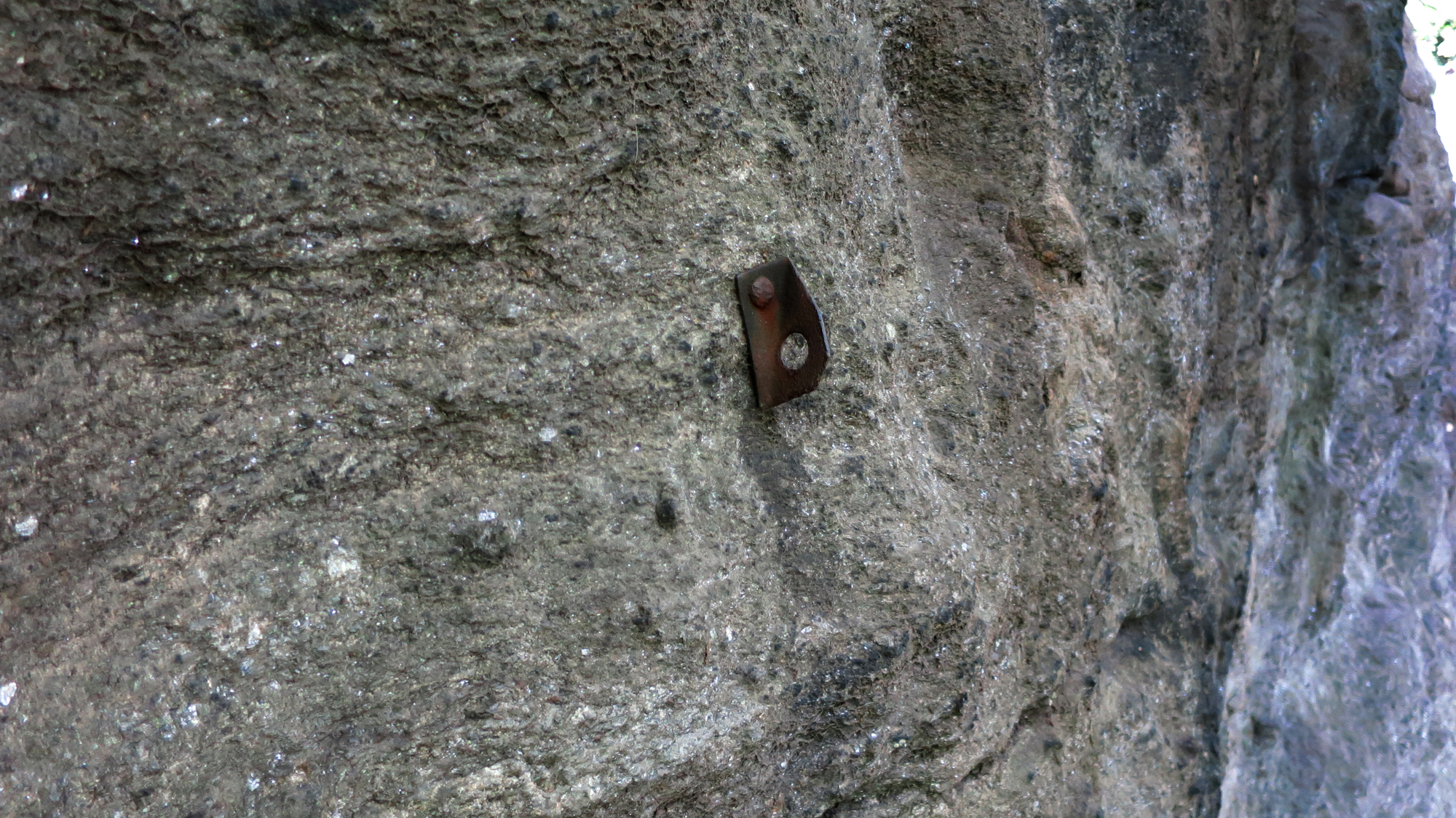 NaturalistsBoulderBolt1wide.jpg